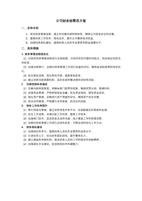 公司财务部整改方案