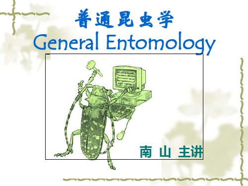 第八章 昆虫的腹部