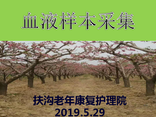 血液样本采集