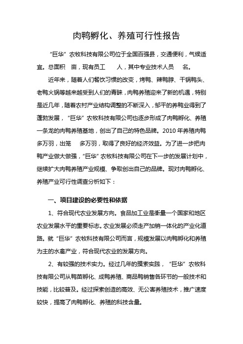 肉鸭可行性报告