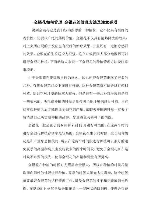 金银花如何管理 金银花的管理方法及注意事项.doc