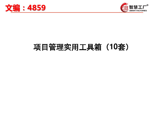全套项目管理实用工具[4859]