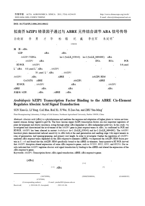 拟南芥bZIP1转录因子通过与ABRE元件结合调节ABA信号传导