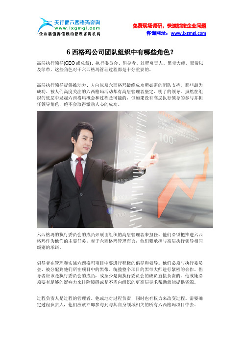 6西格玛公司团队组织中有哪些角色？