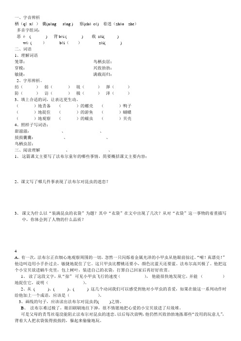 装满昆虫的衣袋课堂练习