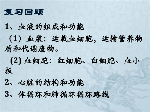 第五章_人体内废物的排出