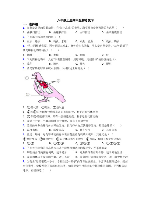 八年级上册期中生物总复习