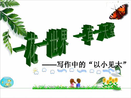 《以小见大写作》【公开课教学PPT课件】