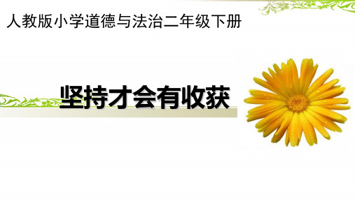 二年级下册道德与法治标准课件-《坚持才会有收获》人教(部编)版