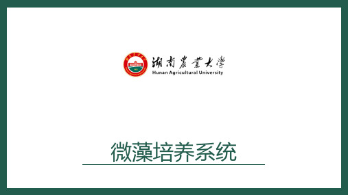 微藻培养系统