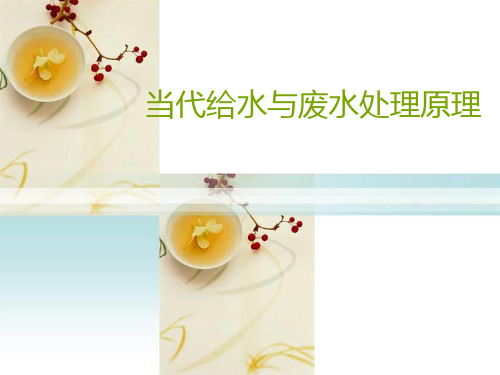 当代给水与废水处理