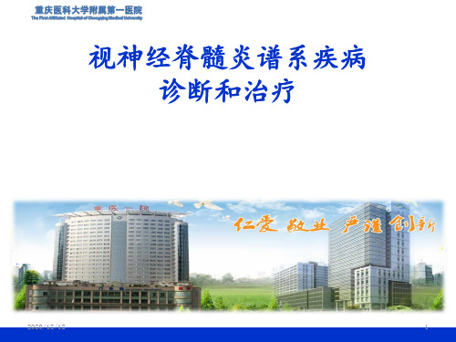 视神经脊髓炎谱系疾病 ppt课件
