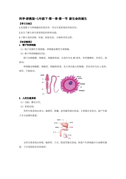 第一章-第一节 新生命的诞生