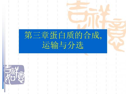 蛋白质合成