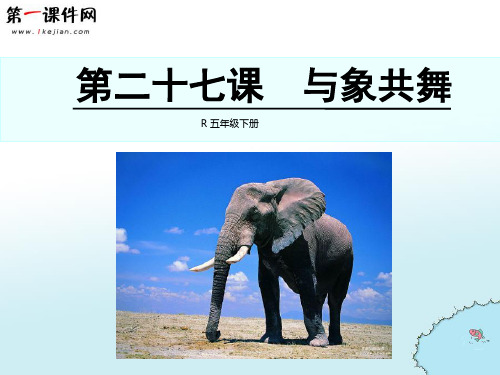 五年级下册27 与象共舞 新课标人教版PPT课件