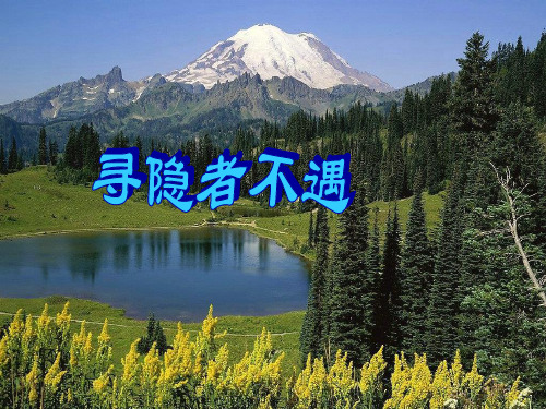 (赛课课件)西师大版一年级下册语文寻隐者不遇课件