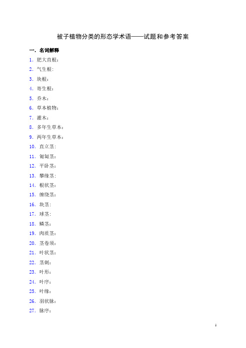 被子植物分类的形态学术语