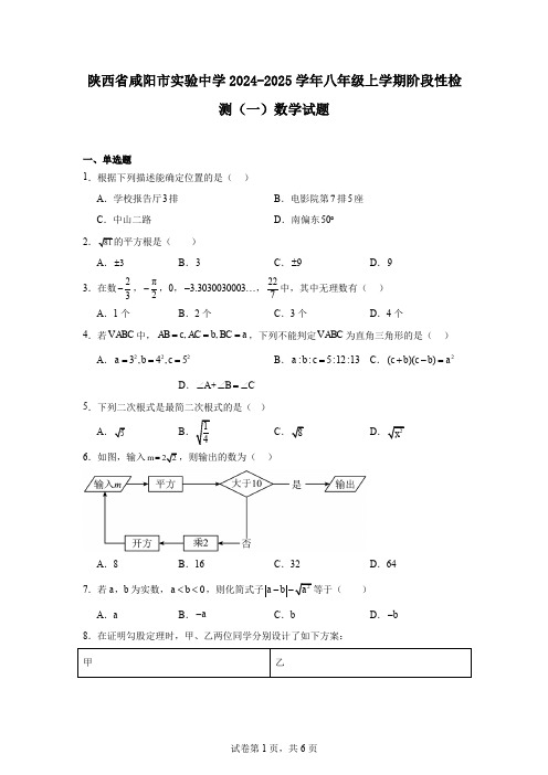 陕西省咸阳市实验中学2024-2025学年八年级上学期阶段性检测(一)数学试题