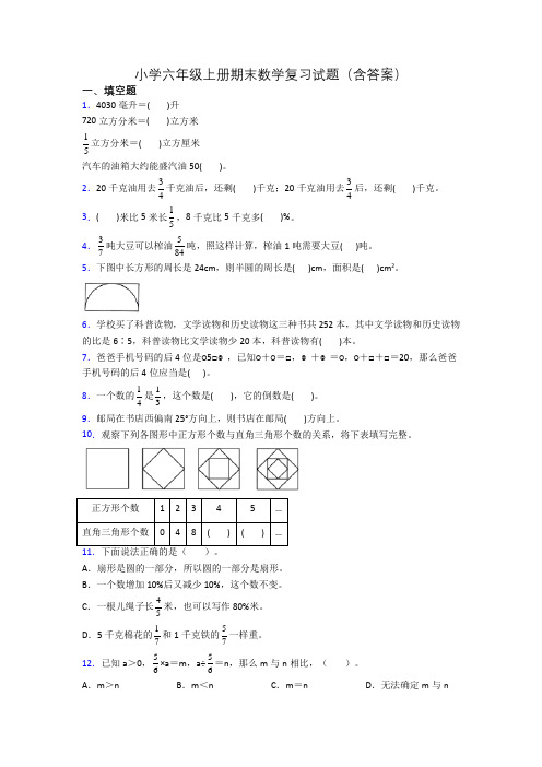 小学六年级上册期末数学复习试题(含答案)