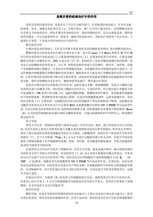 臭氧论文