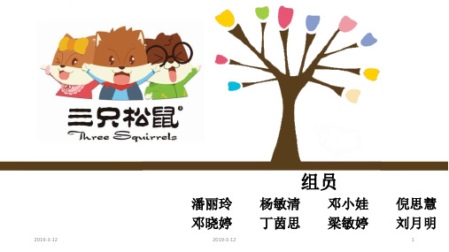 三只松鼠项目总结汇报 完整版 