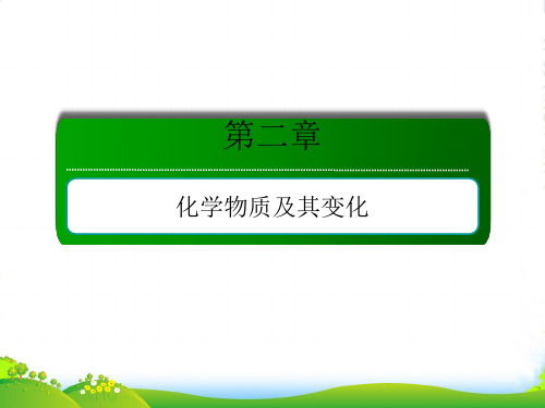 人教版高三化学总复习课件：第二章 化学物质及其变化211考点一 物质的分类