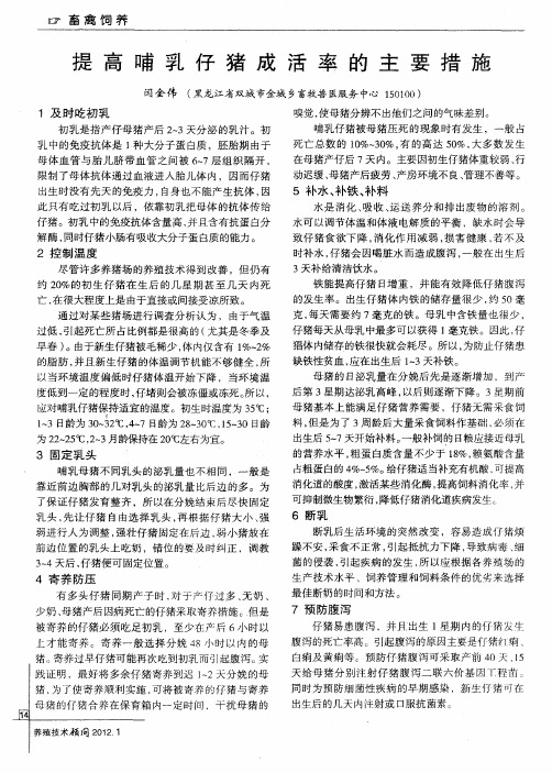 提高哺乳仔猪成活率的主要措施