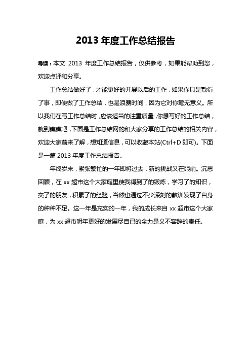 2013年度工作总结报告