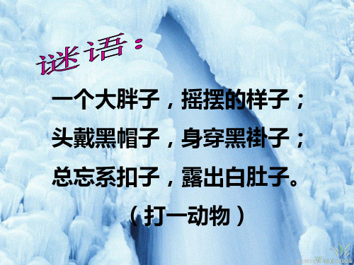 《第五节 北极地区和南极地区》PPT课件(河北省县级优课)