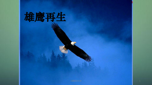 中学主题班会 顽强拼搏,超越自我