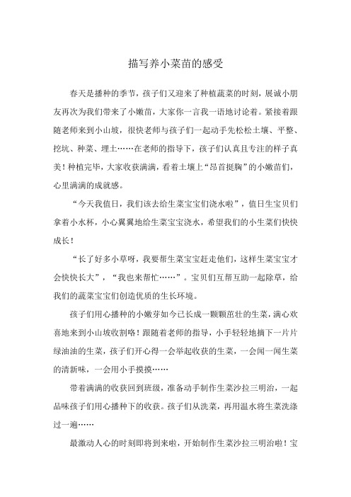 描写养小菜苗的感受