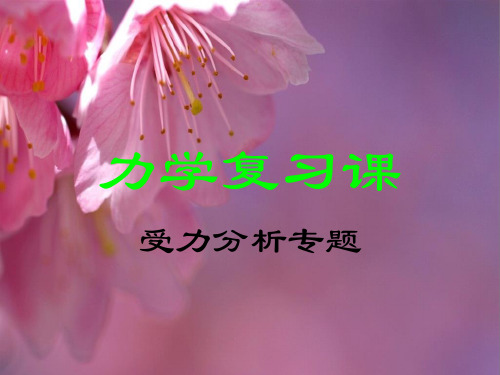人教版八年级物理下册力学复习课(共28页)