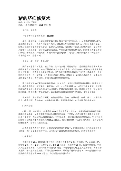 猪的脐疝修复术