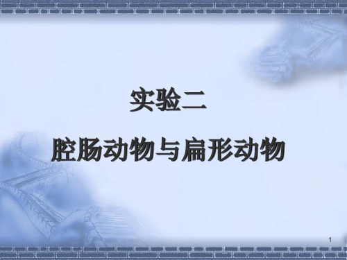 实验二腔肠动物与扁形动物