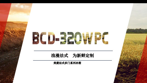 美菱培训课件—320wpc课件