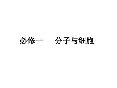 生物高中必修一知识框架