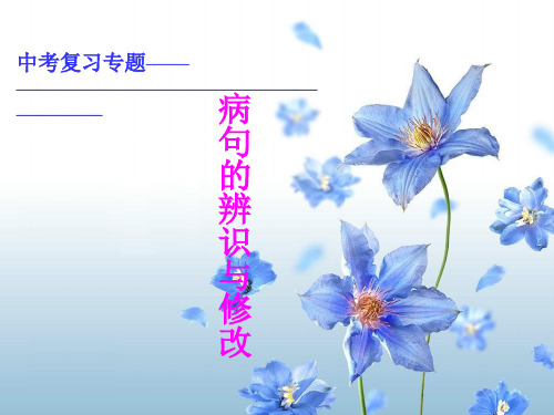 病句的辨识与修改