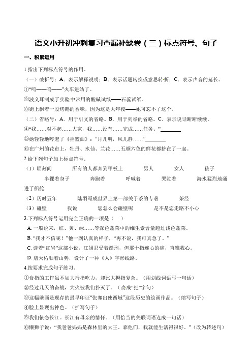 人教新课标六年级下册语文试题--小升初冲刺复习查漏补缺卷(三)标点符号、句子(含解析)