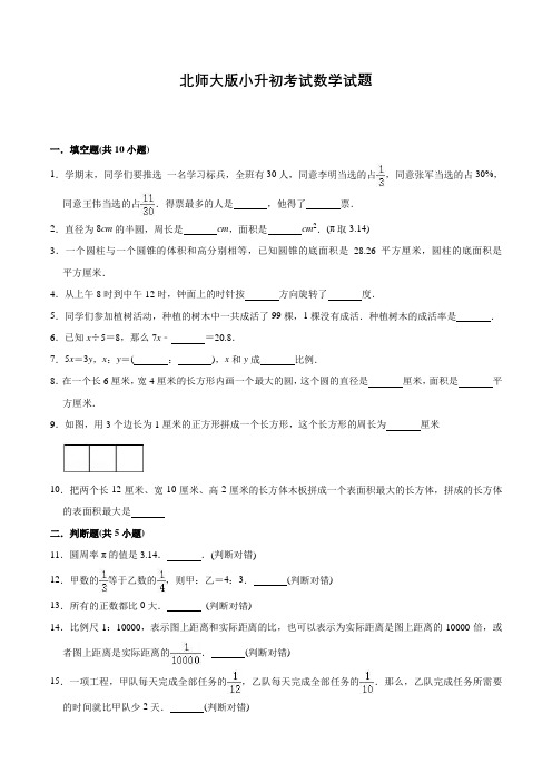 北师大版数学六年级小升初检测试卷及答案