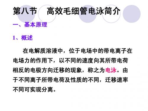 高效毛细管电泳简介