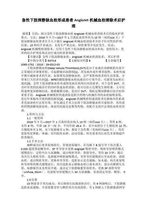 急性下肢深静脉血栓形成患者AngioJet机械血栓清除术后护理