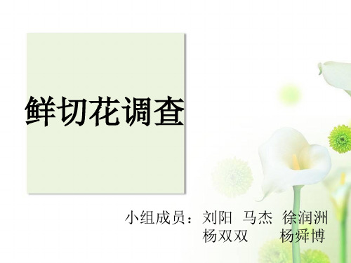 鲜切花PPT