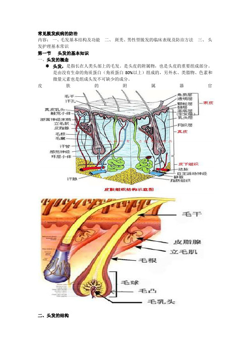 深圳大学常见疾病课件——脱发