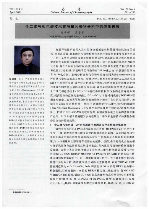 全二维气相色谱技术在痕量污染物分析中的应用进展