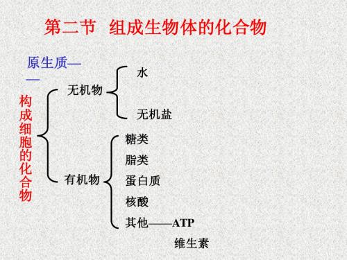 组成生物体的化合物4