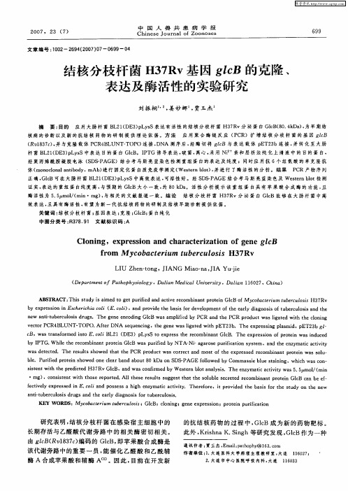 结核分枝杆菌H37Rv基因glcB的克隆、表达及酶活性的实验研究