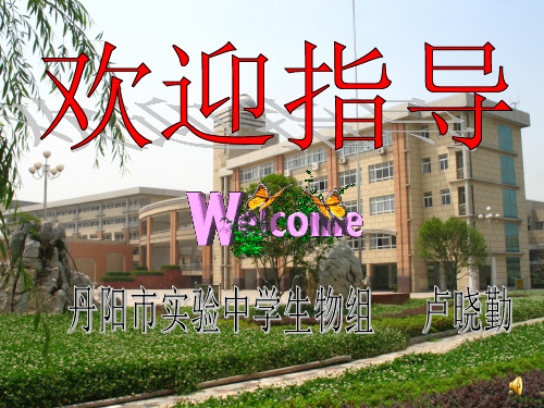 探究烟草浸出液对金鱼呼吸次数的影响