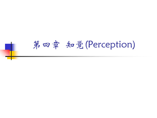 第四章-知觉