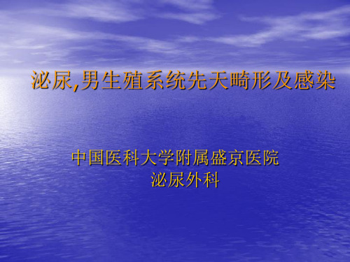 【医学】泌尿,男生殖系统先天畸形及感染(2)
