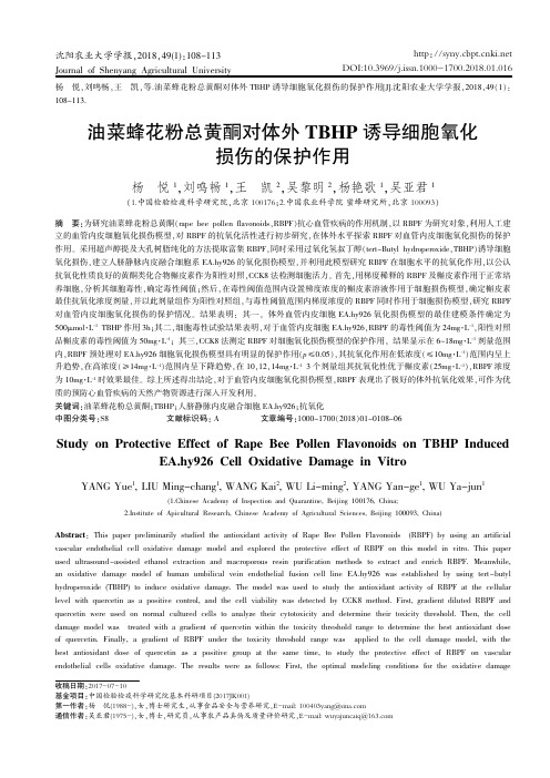 油菜蜂花粉总黄酮对体外TBHP诱导细胞氧化损伤的保护作用